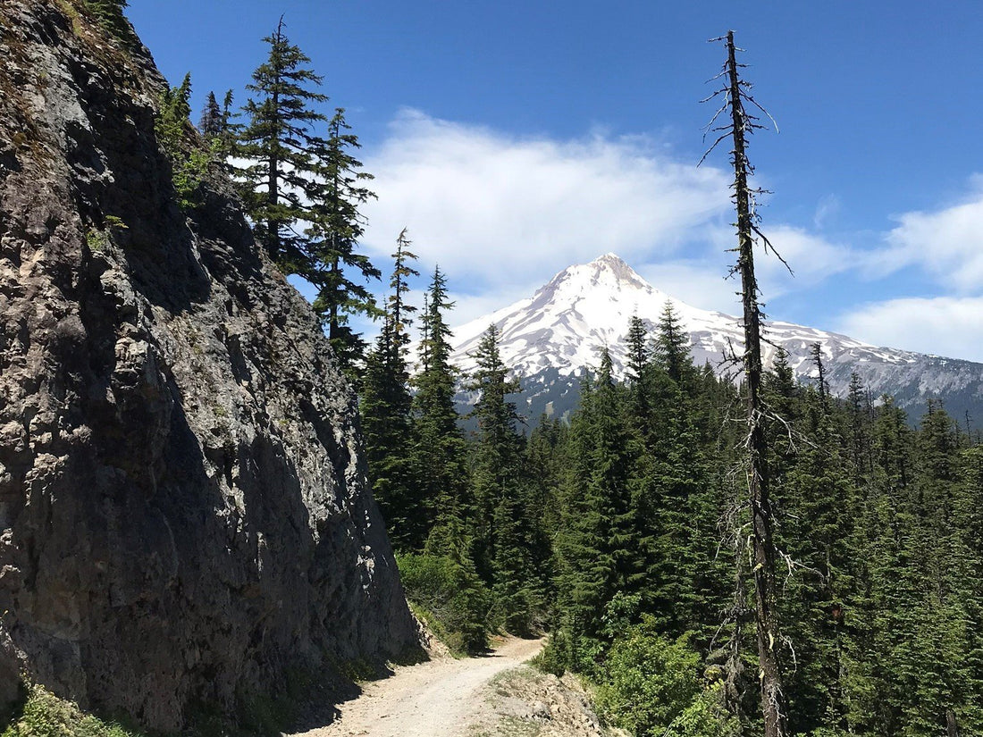 Overland trail in Oregon with views of Mount Hood in the backdrop